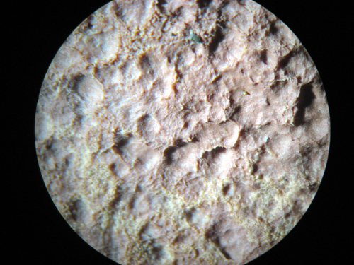 Un quiz tira l''altro.